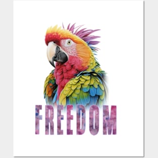 Freedom Posters and Art